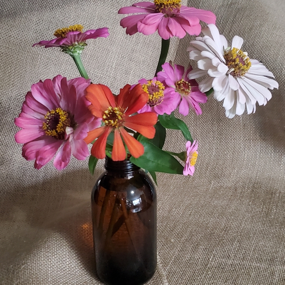 Hello! - Picture 3 of 3